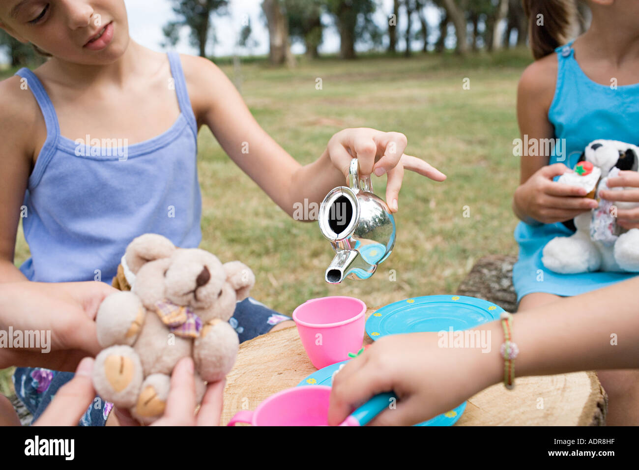 Mädchen mit einer Tee-Party im Feld Stockfoto