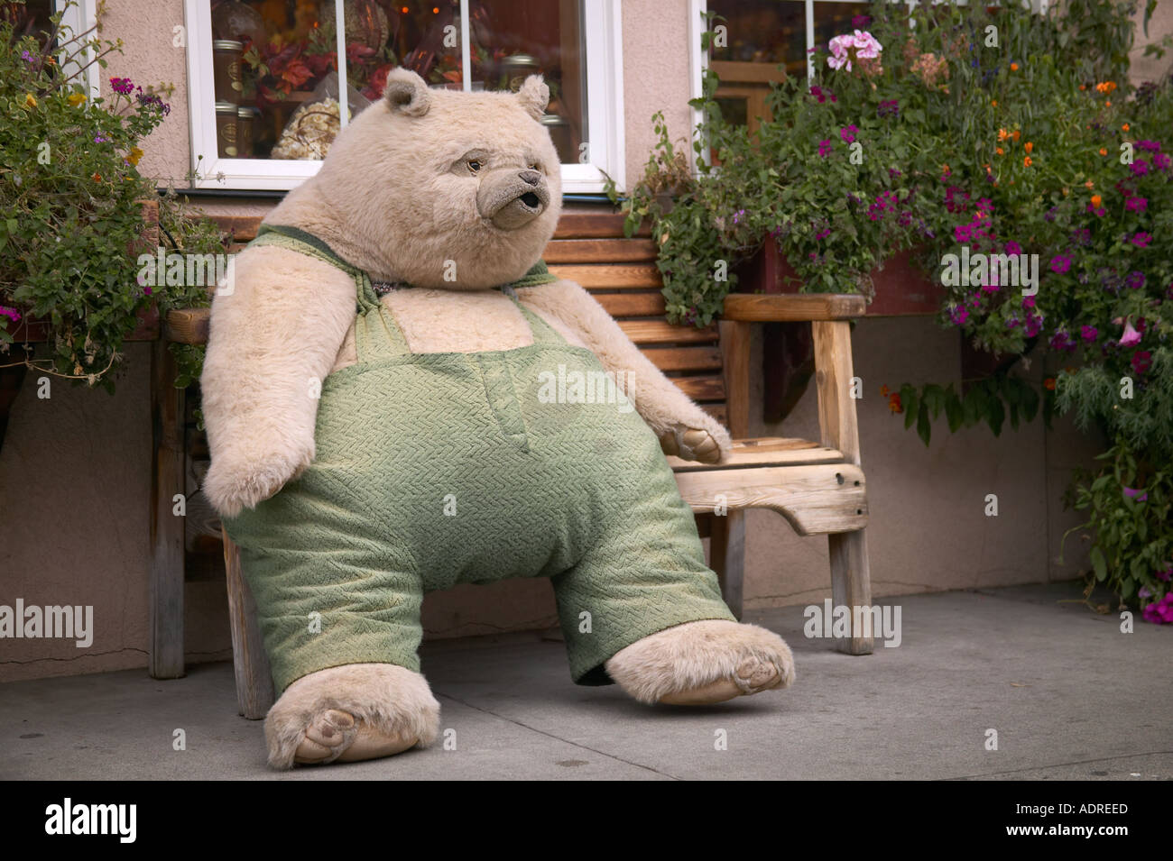 Vitalität Maxime Plantage teddybär in lebensgröße Der Pfad Graph