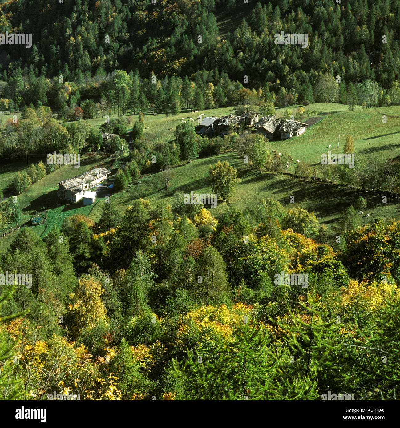 Val Varaita Varaita-Tal westlich von Saluzzo Bezirk von Cuneo Piemonte Piemont aus Colle di Sampyre nahe dem Dorf S Stockfoto