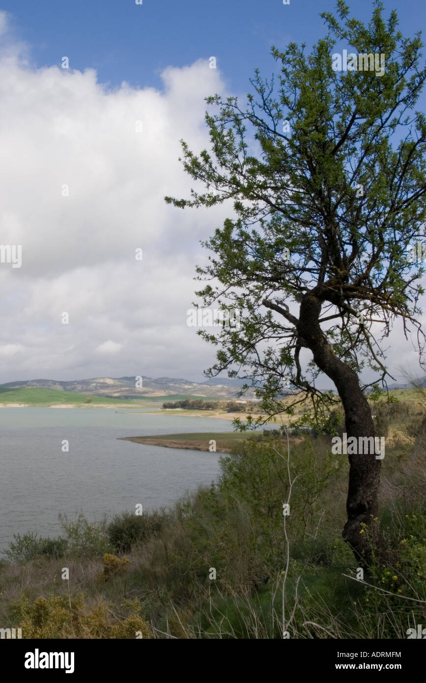 Embalse de Gaitanejo Gaitanejo Reservoir Malaga Spanien Stockfoto