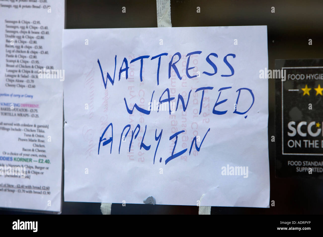 Wattress wollte gelten in der hand schriftlichen tragen Kellnerin Schild im Fenster des Take away Café in belfast Stockfoto