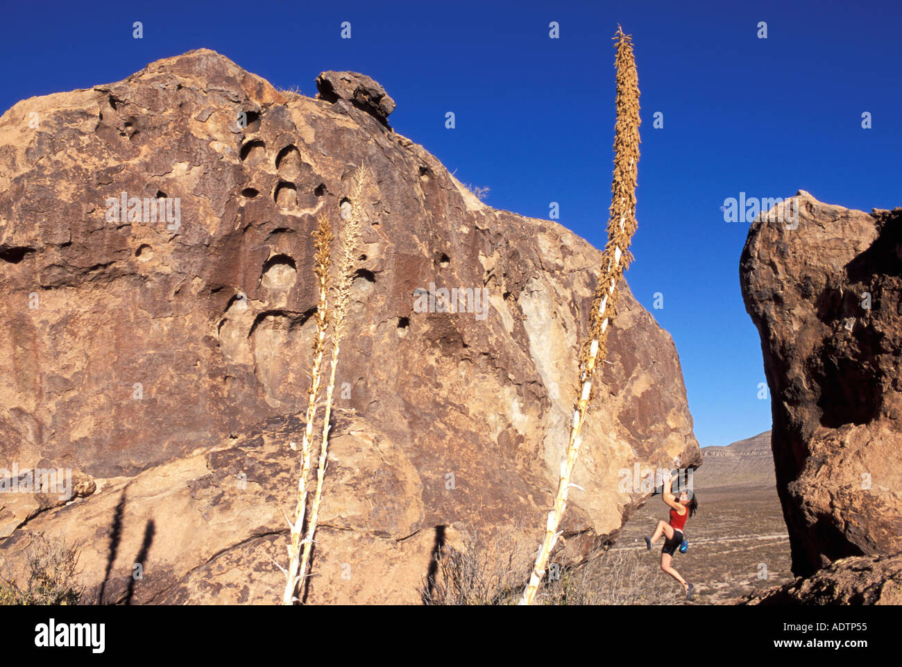 Weibliche Klettern auf einem steilen Felsen. Stockfoto