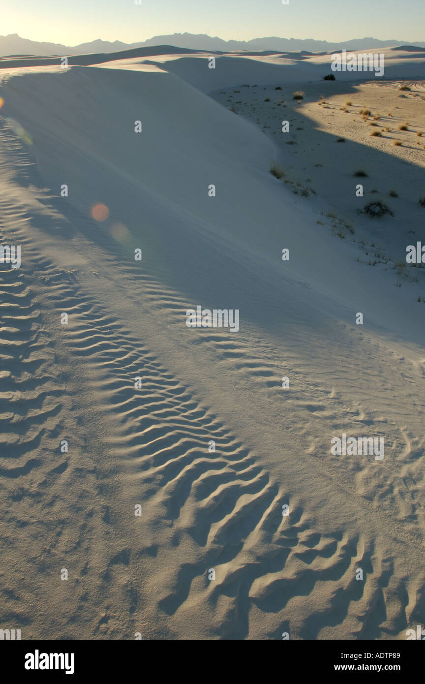 Sanddünen im White Sands National Monument in der Nähe von Alamogordo, New Mexico. Stockfoto