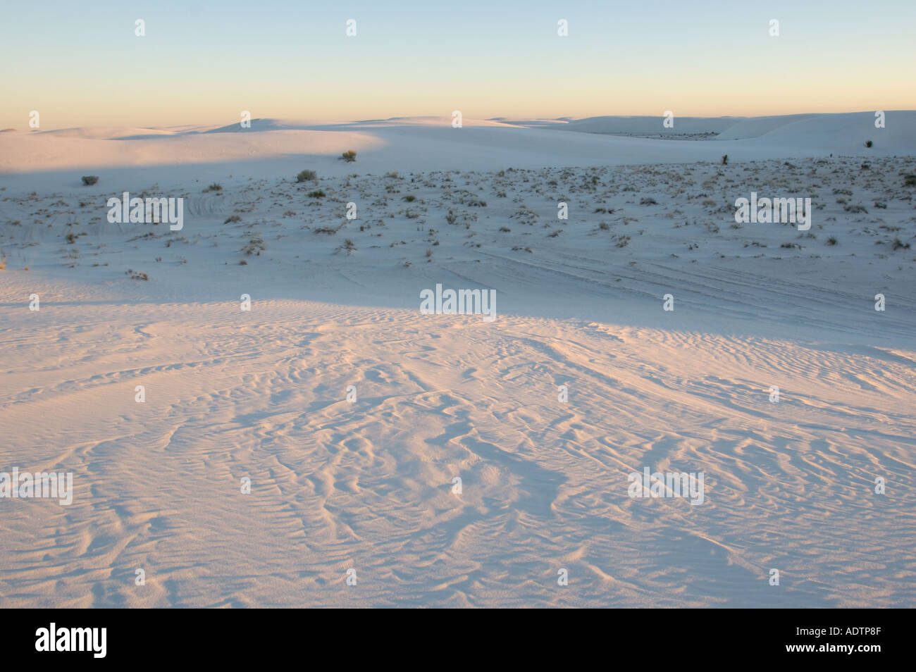 Sanddünen im White Sands National Monument in der Nähe von Alamogordo, New Mexico. Stockfoto