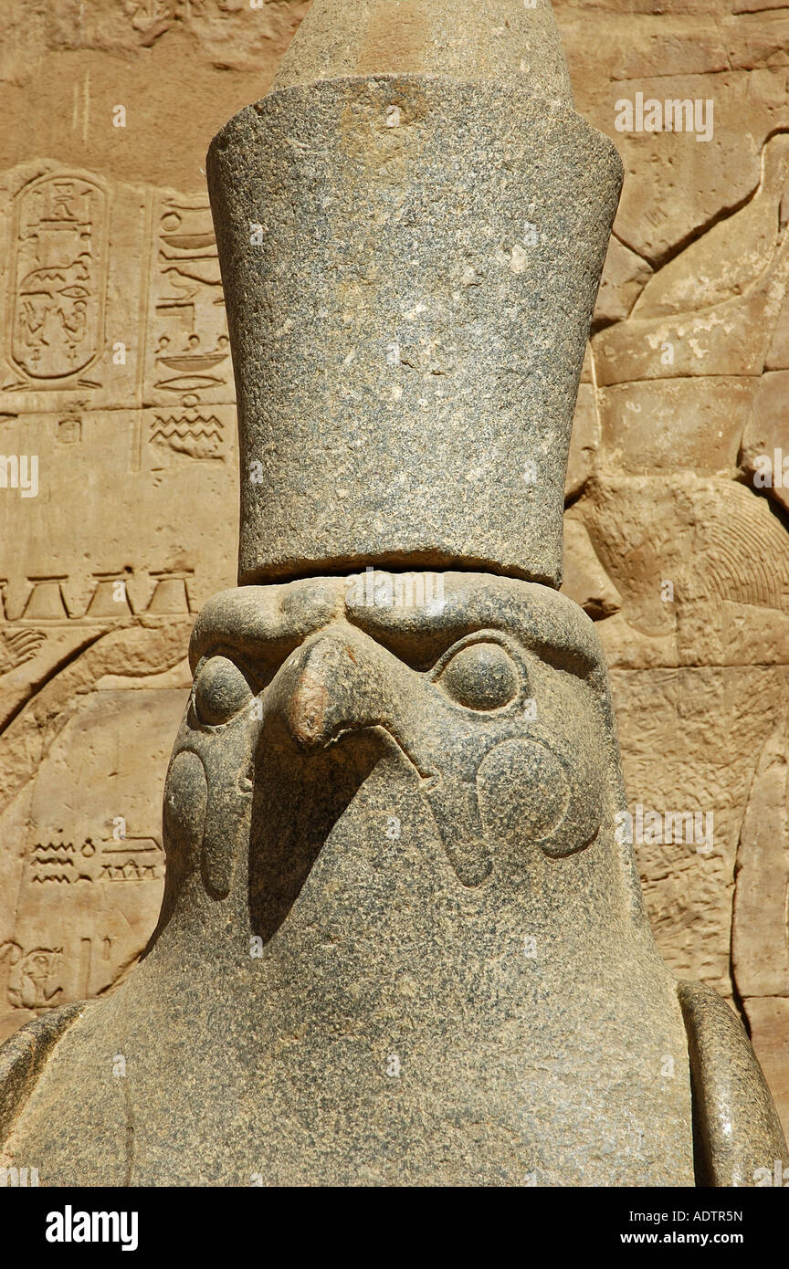 Ein Falke Granit Statue des Horus in der Säulenhalle in Edfu Tempel Gott Horus, während der Ptolemäerzeit 237-57 BCE, Ägypten gebaut Falcon Stockfoto