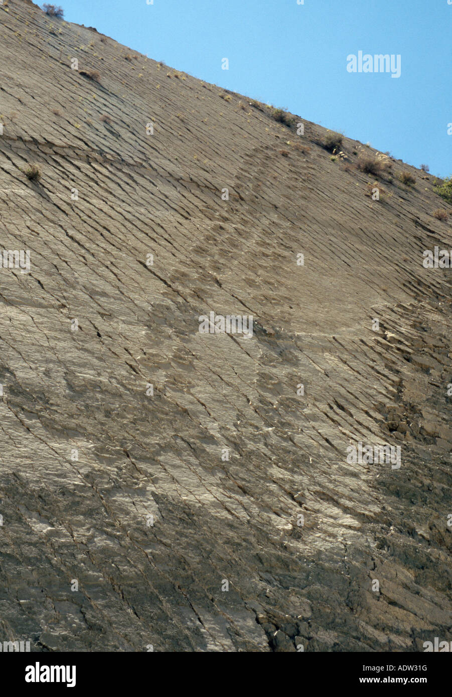 Cal Orcko Dinosaur Tracks - Sucre, Chuquisaca, Bolivien Stockfoto