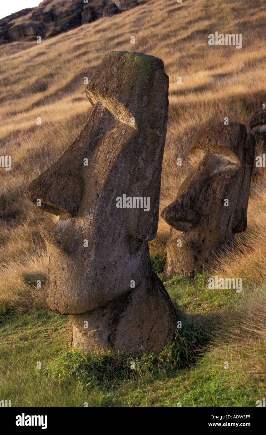 Osterinseln, Rano Raraku Stockfoto