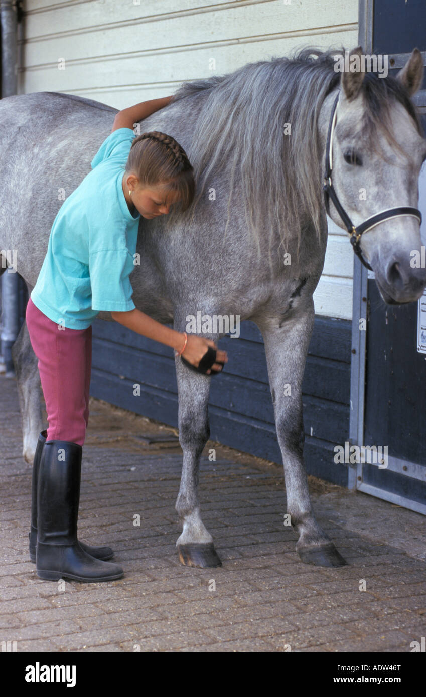 Mädchen ist auf der Suche nach einem Pferd Stockfoto