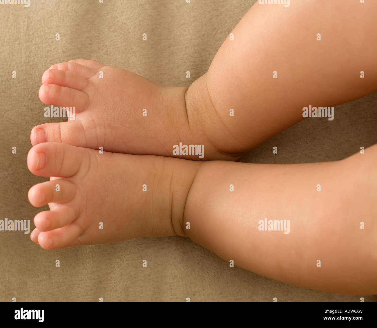 Baby Füße mit Wildleder Stoff als Hintergrund Stockfoto