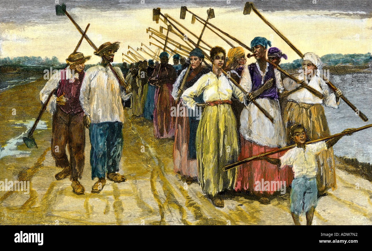 African American slaves Rückkehr aus den Feldern in der Dämmerung auf einer Zuckerrohrplantage 1800. Hand - farbige Holzschnitt Stockfoto