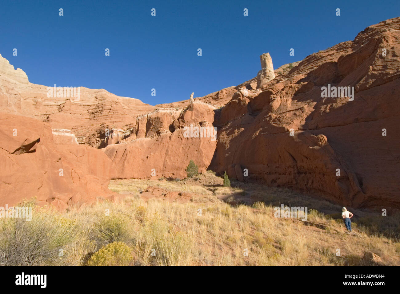 Utah Bryce Kodachrome Basin State Park Grand Parade Trail Box Canyon Sandstein Kamin weibliche Wanderer Stockfoto