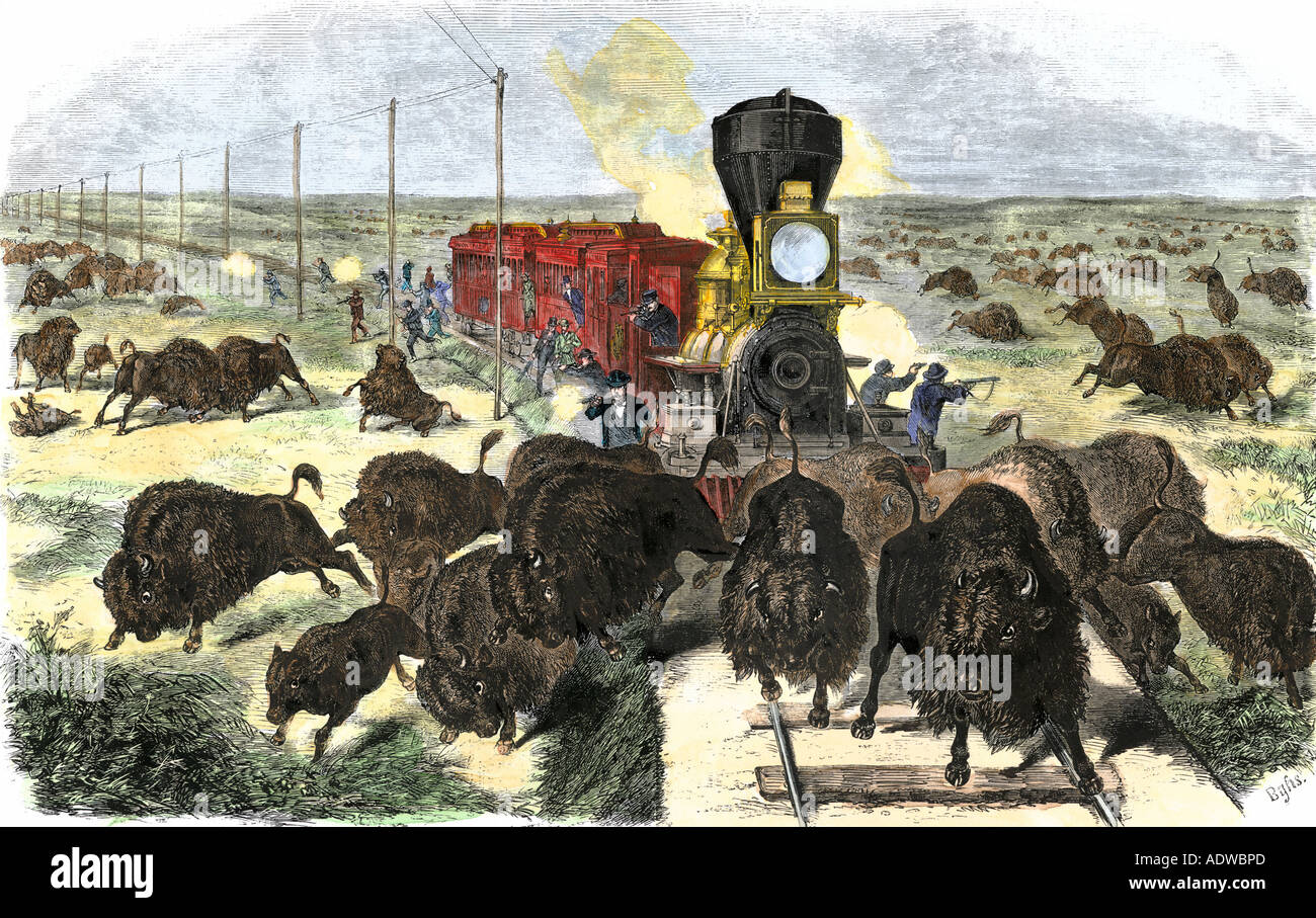 Passagiere und Crew schießen Büffel aus einen Zug auf der transkontinentalen Eisenbahn 1870. Hand - farbige Holzschnitt Stockfoto