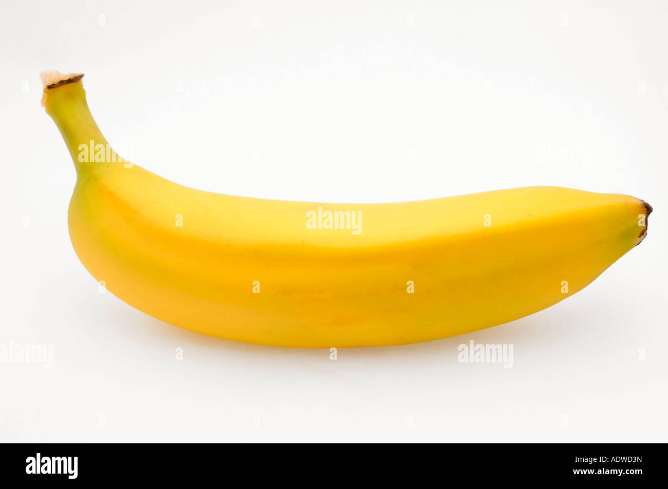 Einzige Banane Stockfoto