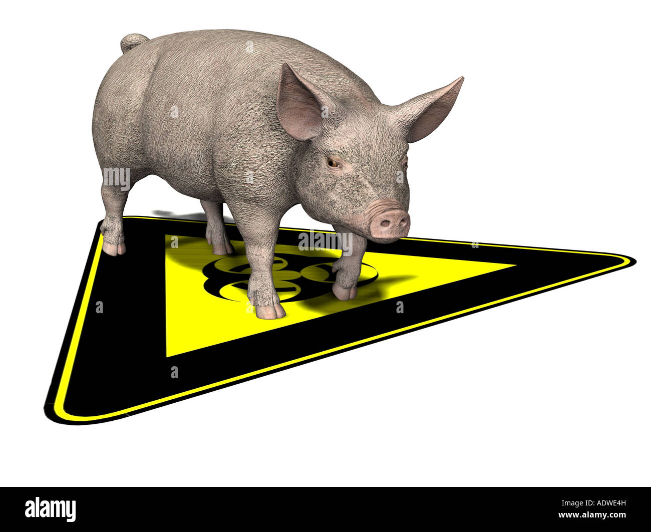 symbolisches Bild für Epidemie Pest auf Schweine Stockfoto