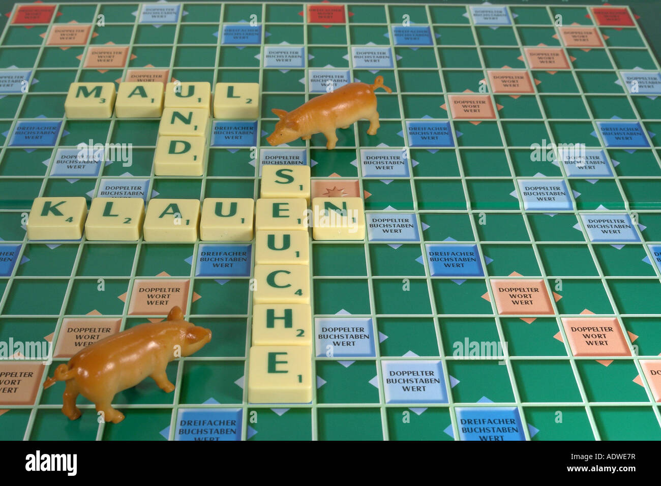 symbolisches Bild für Epidemie Pest bei Schweinen Stockfoto