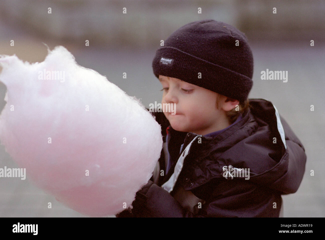 kleiner Junge im Mantel essen Zuckerwatte im Winter im park Stockfoto