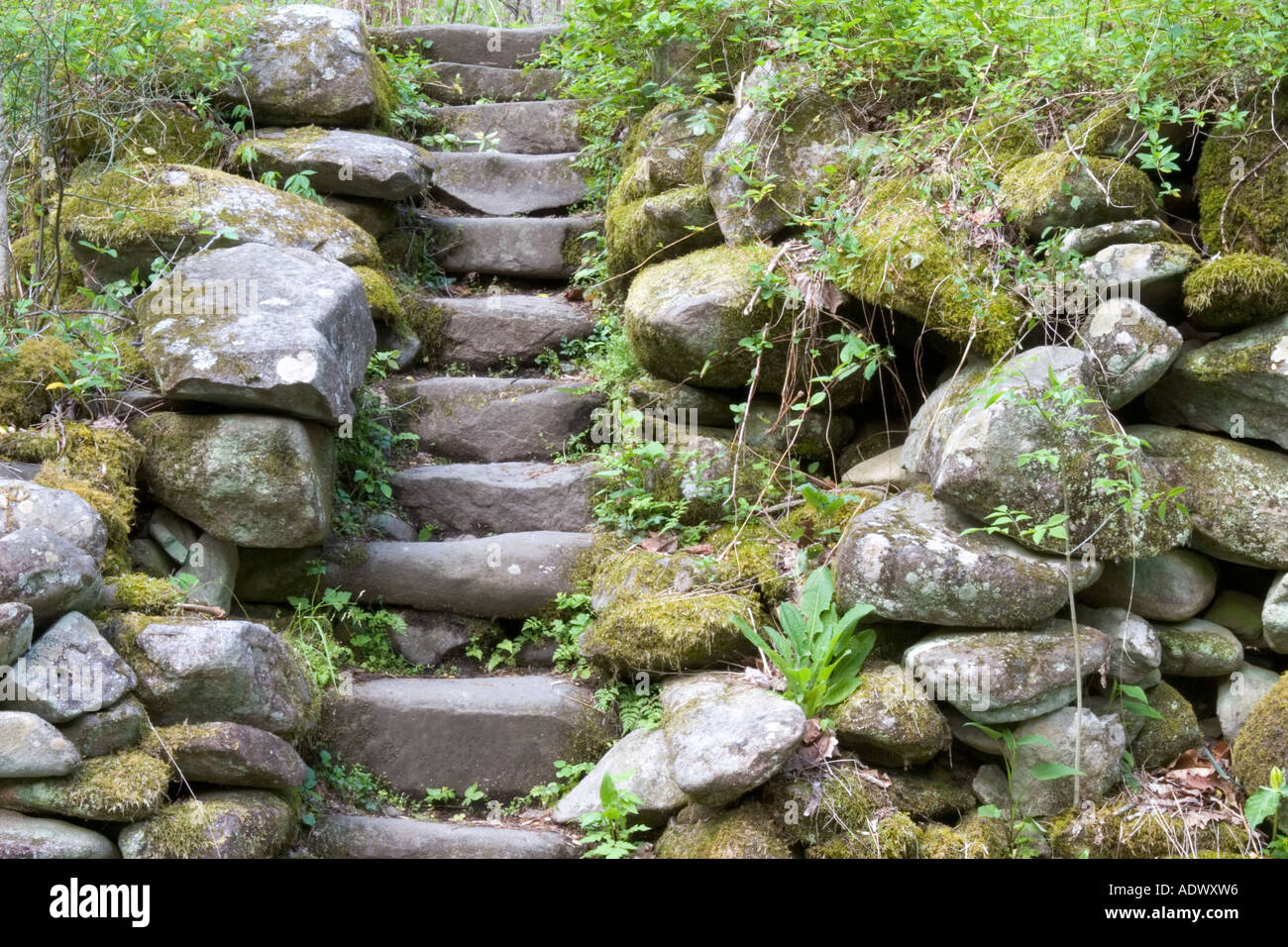 Treppe zum verlassenen Gehöft Stockfoto