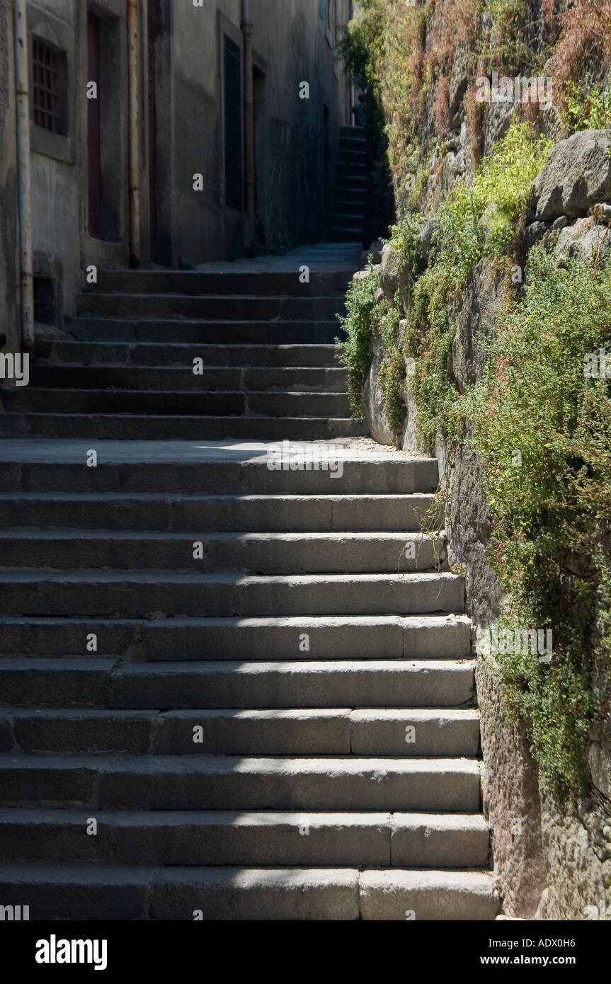 Steinstufen in den Seitenstraßen der Kathedrale Bezirk von Porto, Portugal Stockfoto