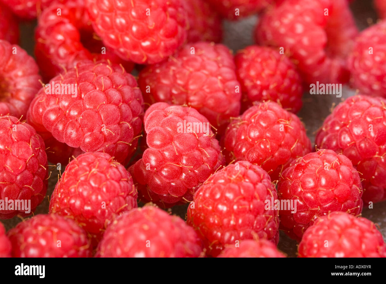 Raspeberries zum Verkauf Stockfoto