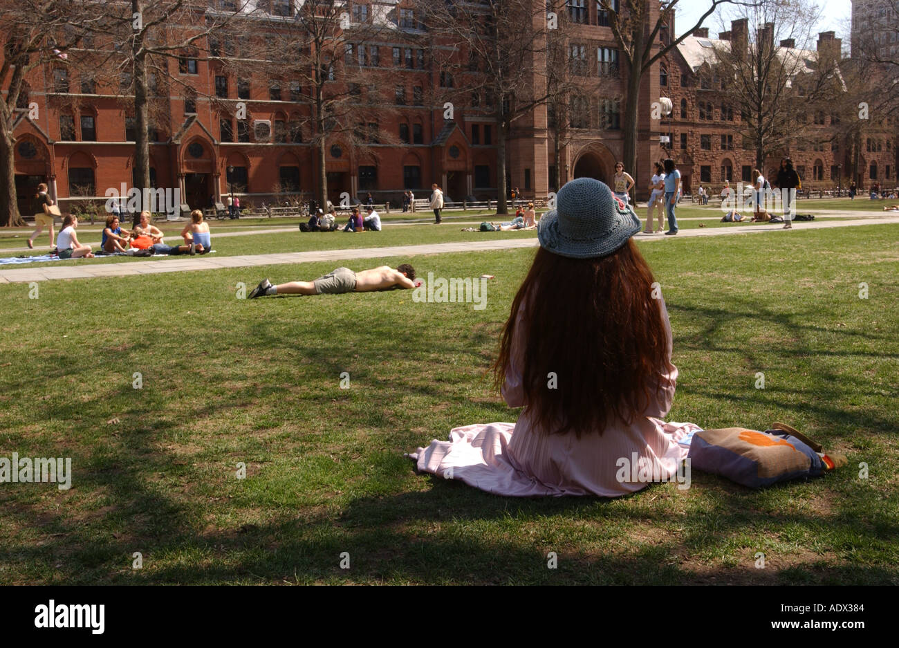 Lesen auf der New Haven Green an der Yale University Student Stockfoto