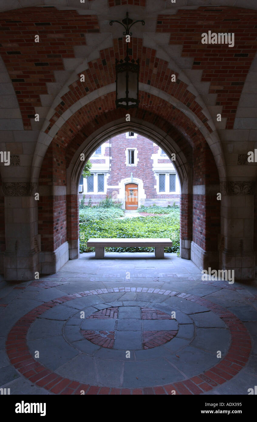 Yale University New Haven Connecticut Stockfoto