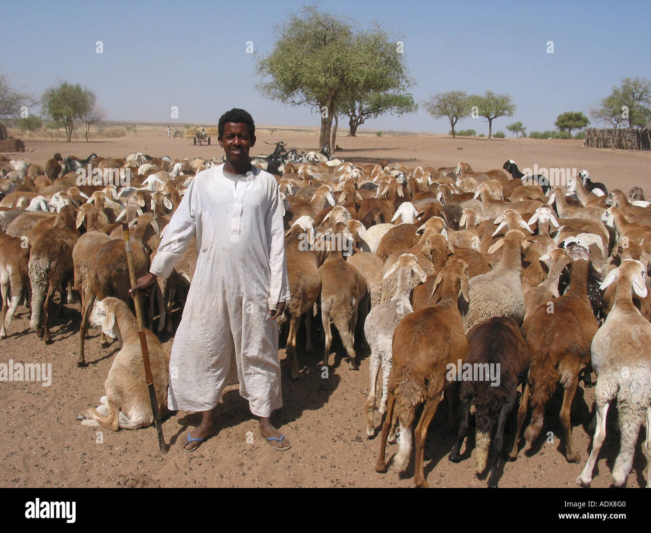 Seit Februar 2003 ist ein Teufelskreis Krieg tobt in Darfur Westsudan Stockfoto