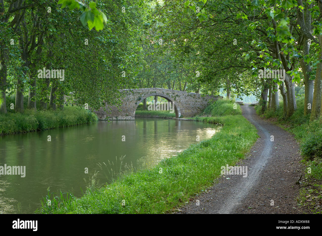 Der Treidelpfad am Canal du Midi nr Carcassonne-Languedoc-Frankreich Stockfoto