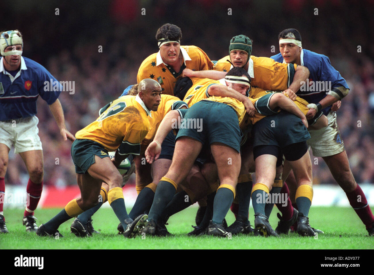 Australien V Frankreich Rugby World Cup Finale im Millennium Stadium Cardiff South Wales UK Stockfoto