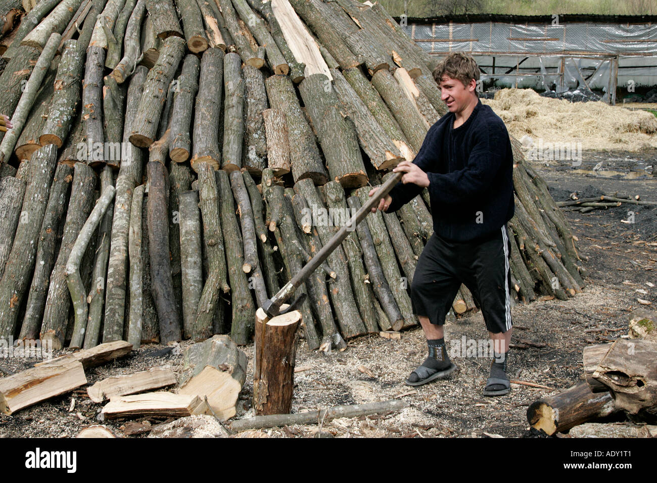 Icona di spunta verde -Fotos und -Bildmaterial in hoher Auflösung – Alamy