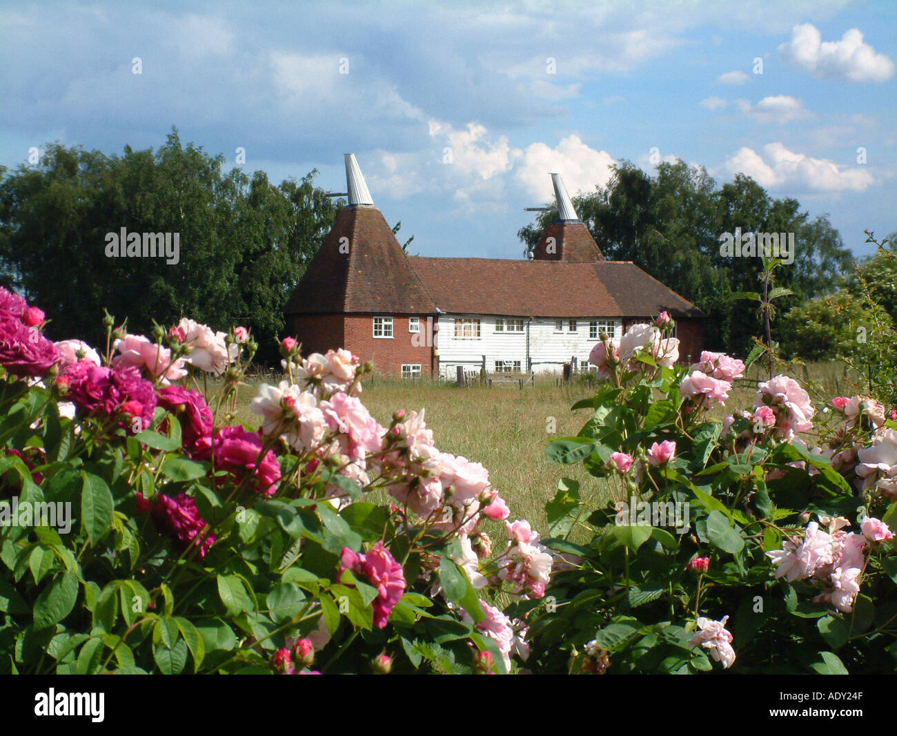 Kentish Oast Houses Stockfoto