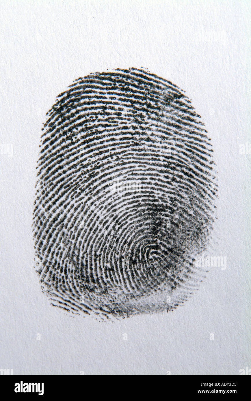 Geschäftskonzepte, dass ich Sie Fingerabdruck schwarz weiß Id Identifikation einzigartige Fingerspitze Daumen Spuren verfolgt Dieb Diebstahl Raub Linien Stockfoto