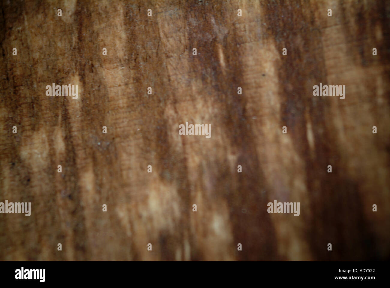Hintergründe II holziger braun bräunlich verbrannten Holz Rinde wie sonstige Hintergrundtextur Stockfoto