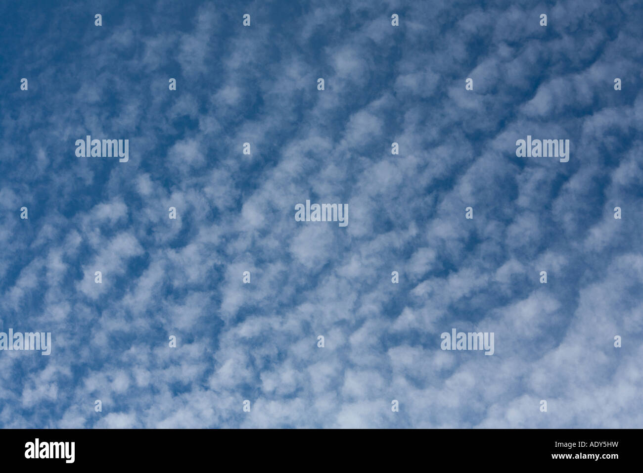 Altocumulus Wolkenformationen vor einem blauen Himmel Hintergrund gesetzt Stockfoto