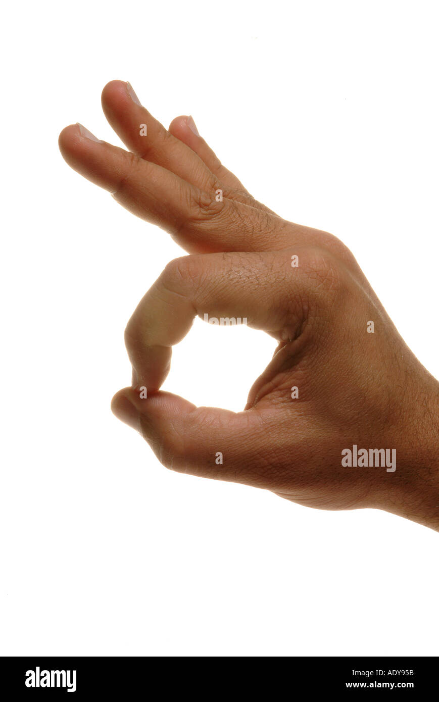Händen Person Menschen hand Finger Finger Handgelenk Daumen Daumen Nägel  Lebensader weißes Schild Haut Faust ok gut in Ordnung gut OK Loch rabb  Stockfotografie - Alamy
