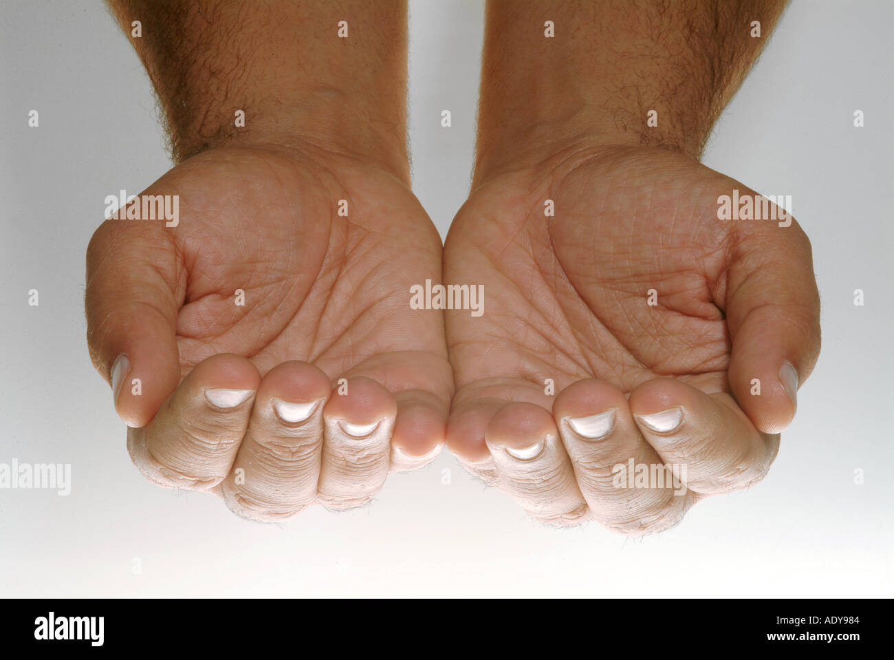 Hände-Person, die Menschen in der Nähe hautnah Hand Finger Finger Handgelenk Daumen Daumen Nägel, die weißes Schild Haut betteln betteln Fragen fordern Sie bitte wieder Stockfoto