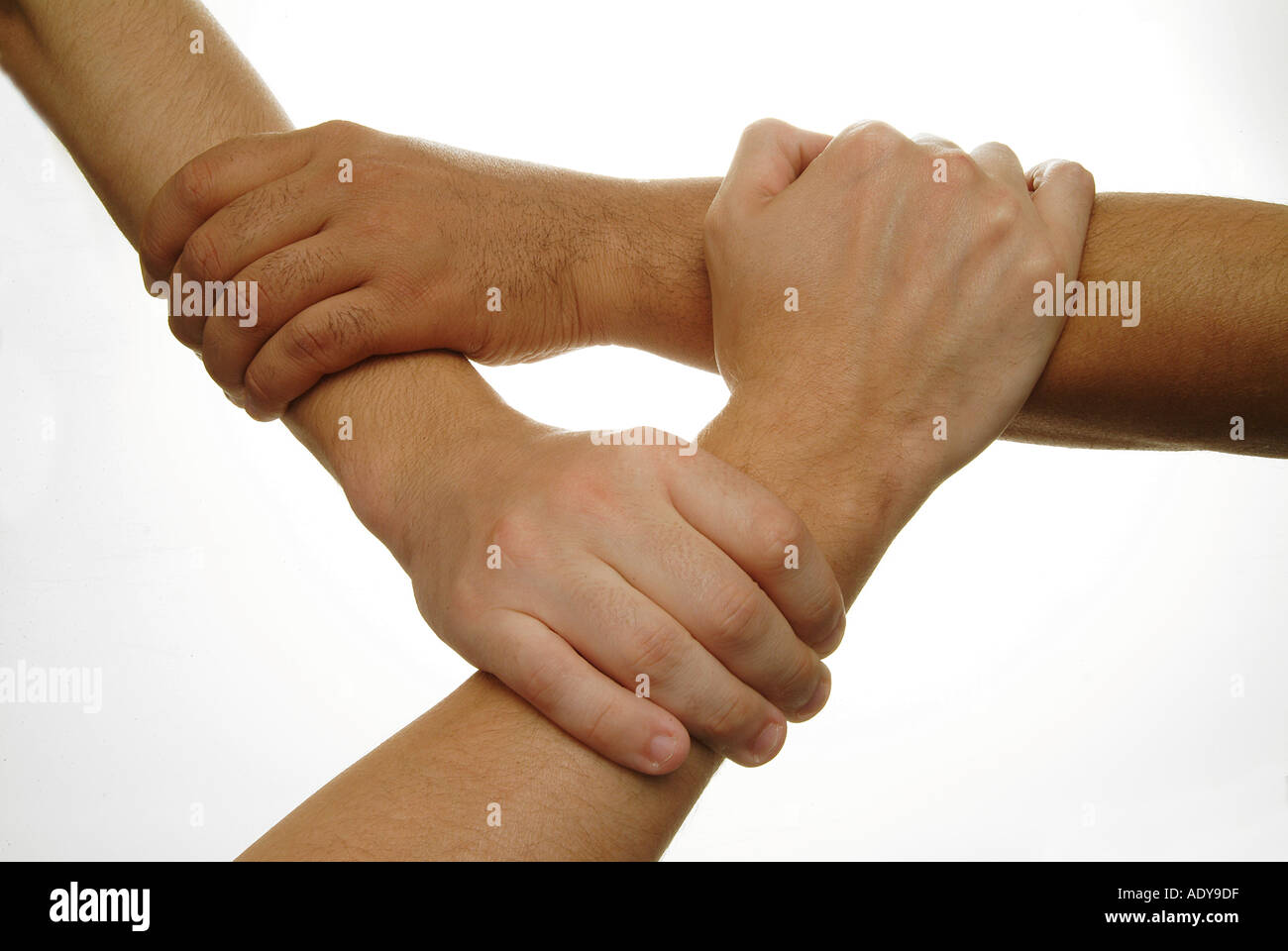 freund mit der hand befriedigen Eine Beziehung mit einem Mann ist für viele junge Frauen keine interessante  Option mehr