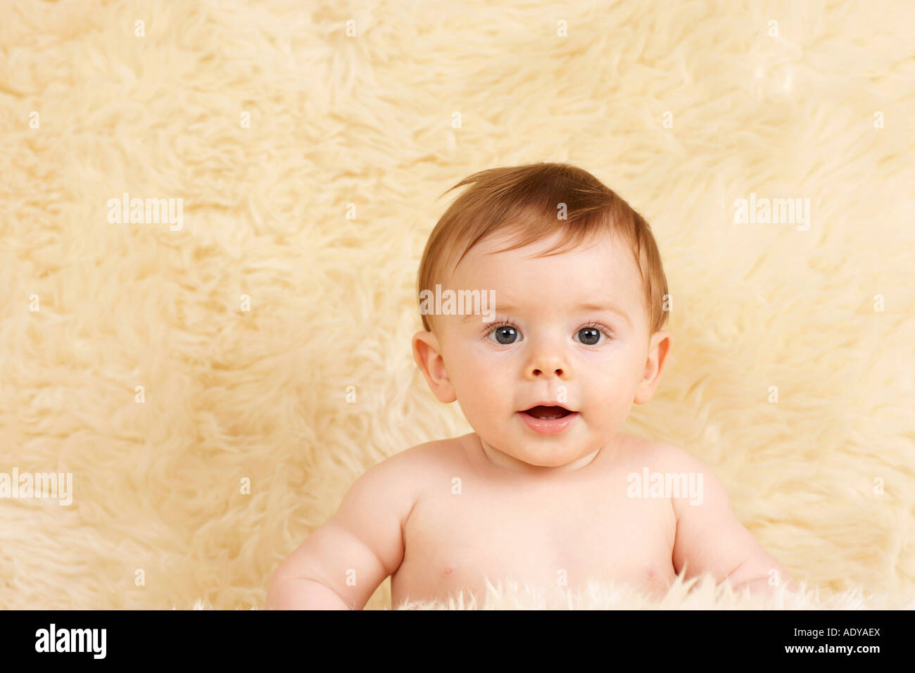 Porträt von Baby Stockfoto