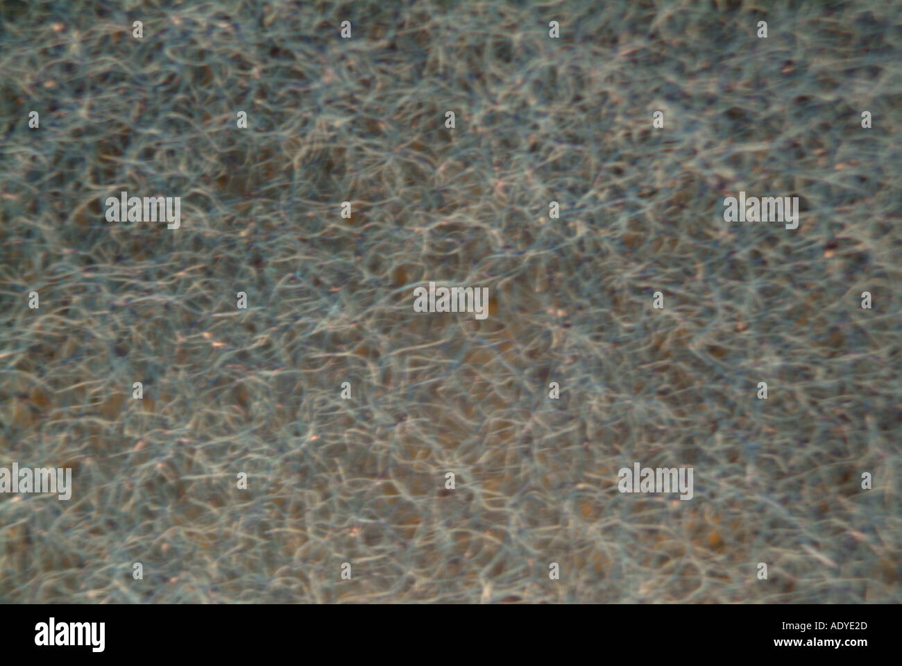 Hintergrund ich Haare Haufen wie behaarte grau grau abstrakten Diverses Hintergrundtextur verwoben Stockfoto