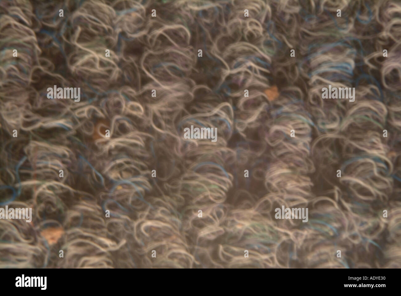 Hintergrund ich Haare Haufen, wie verwoben behaarte grau gräulich Diverses Hintergrund Streicher Textur Stockfoto