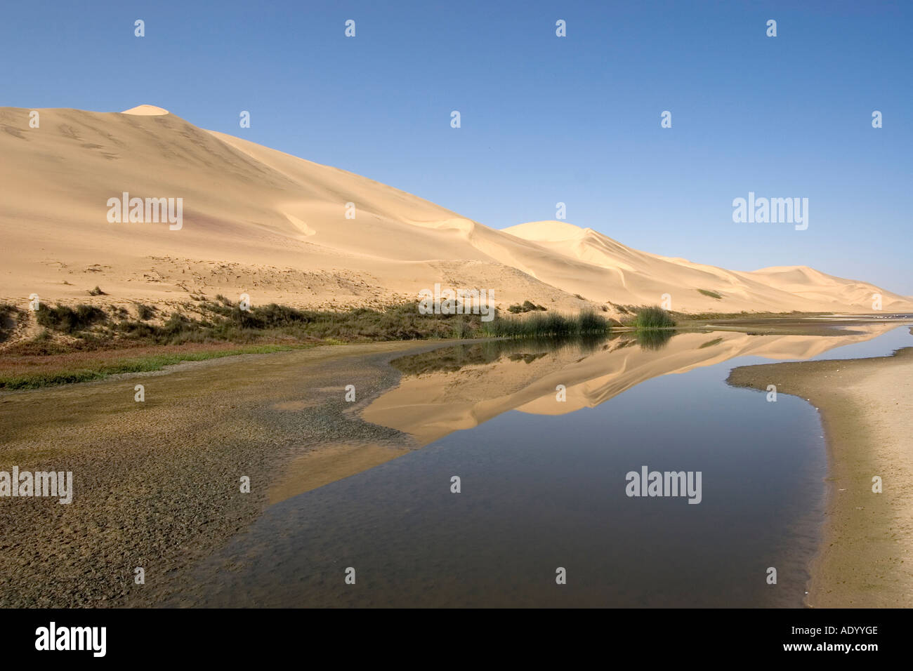 Namibia-Sandwich Harbour NP Stockfoto