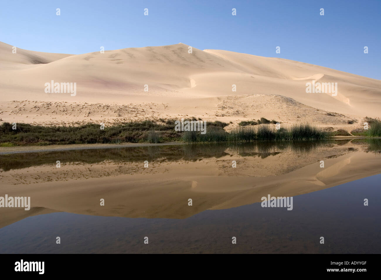Namibia-Sandwich Harbour NP Stockfoto