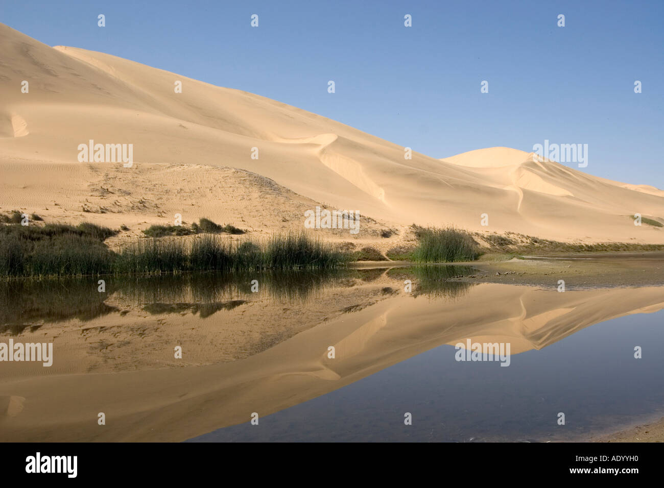 Namibia-Sandwich Harbour NP Stockfoto