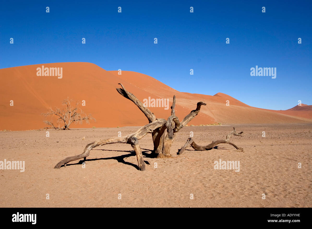 Sossusvlei Namibia Stockfoto