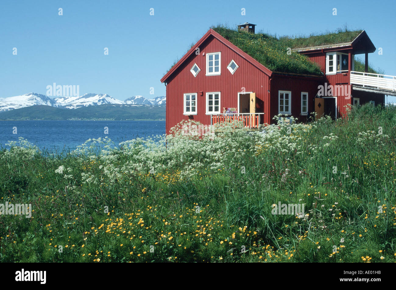 Typisches Haus Norwegen Stockfoto