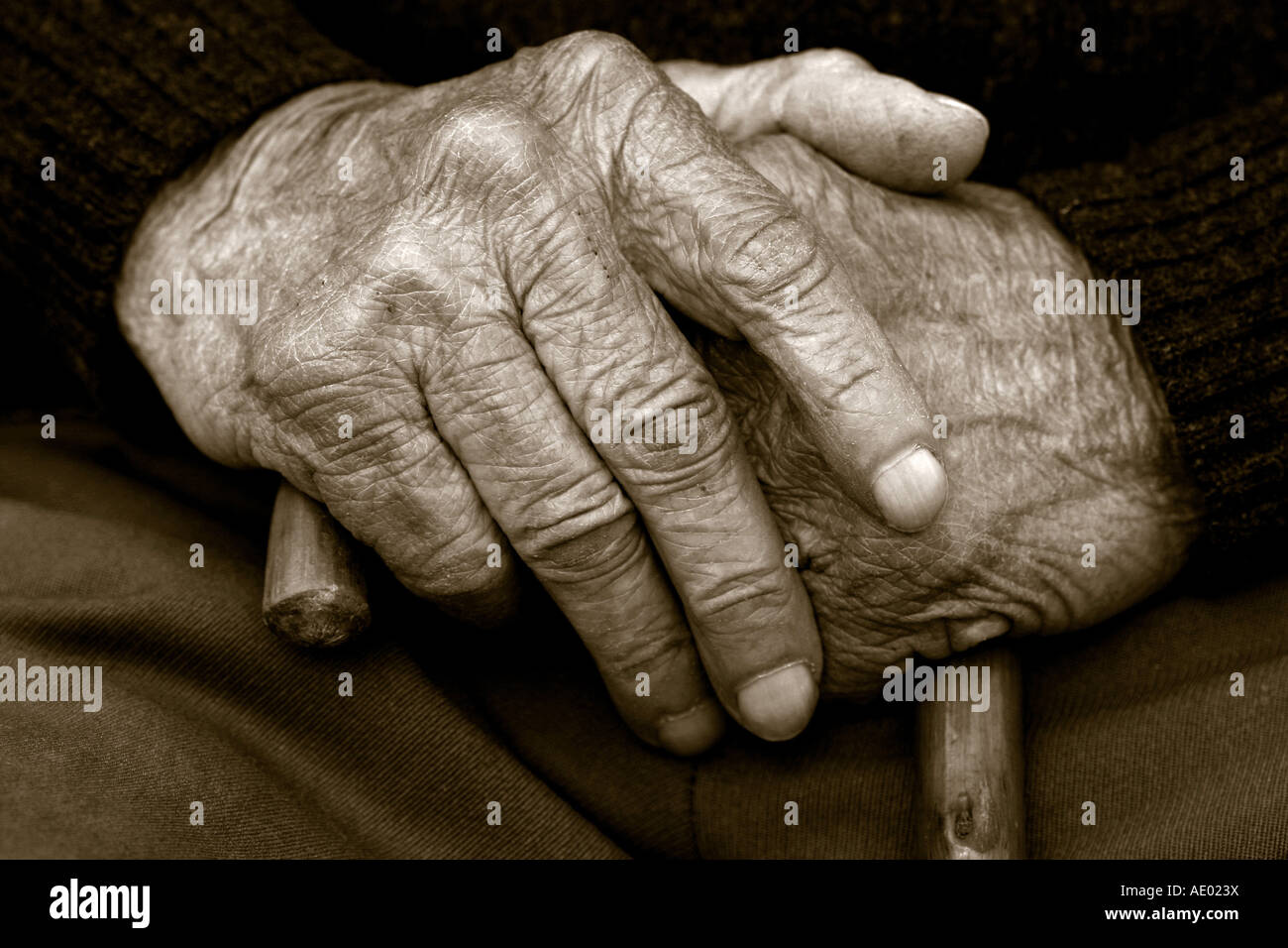 Hände eines alten Mannes gekreuzt Stockfoto