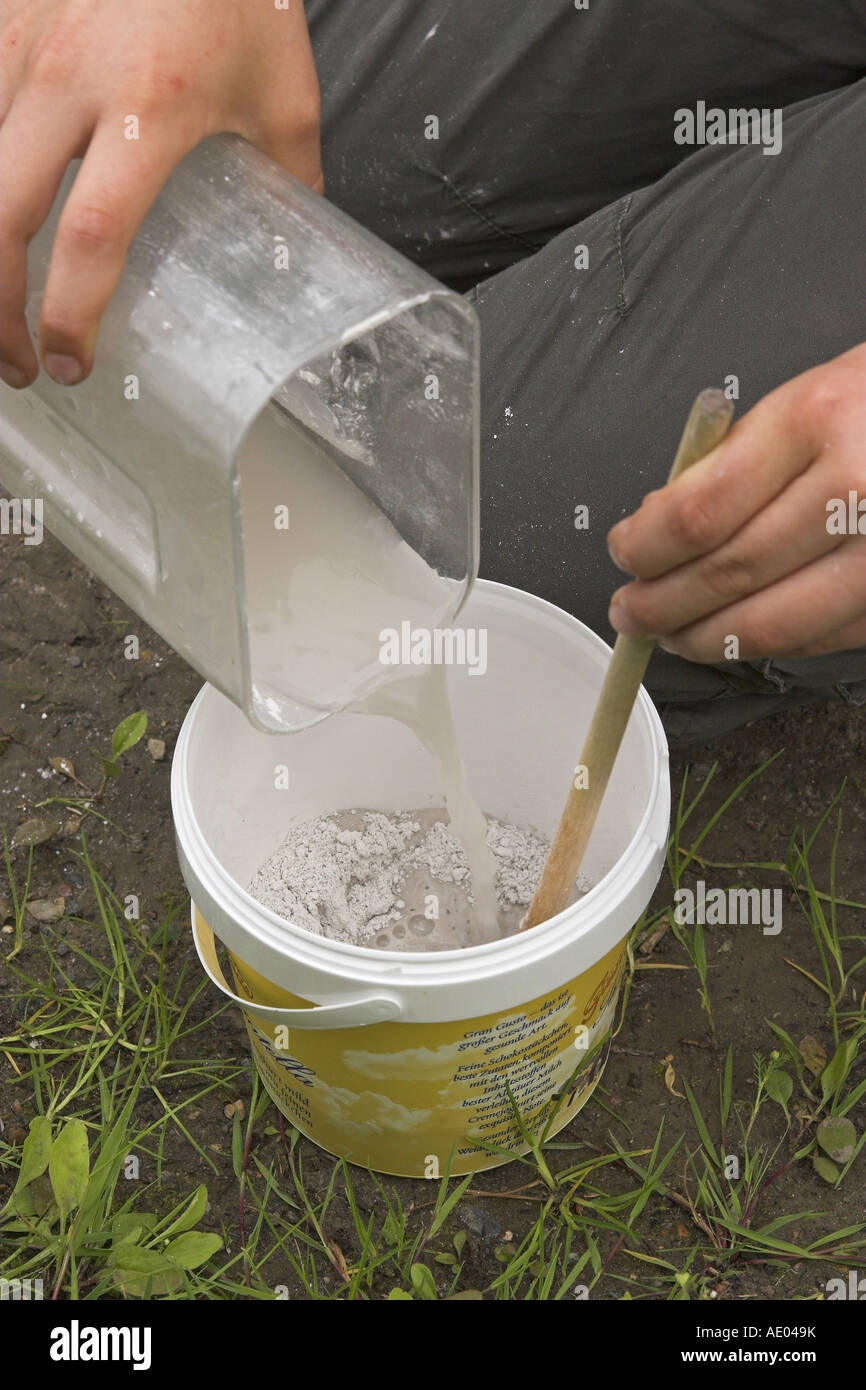 Kind eine Zement Kopie der Spur ein Reh Stockfoto