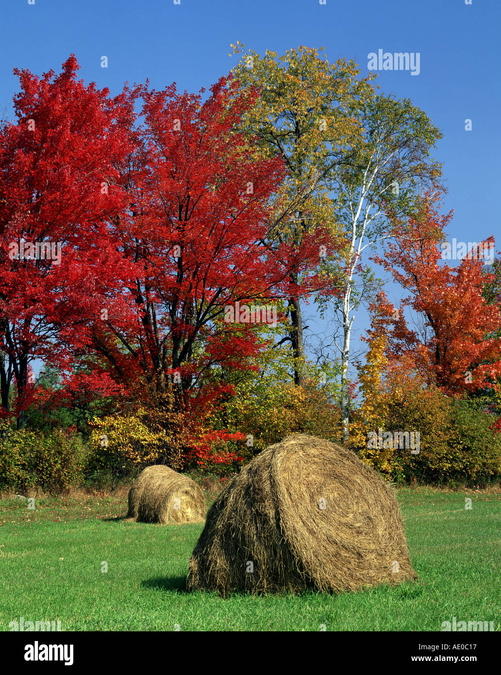 Heuballen auf Wiese im Herbst indischen Sommer New Hampshire USA Stockfoto