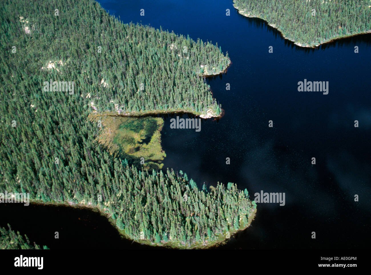 Luftbild, Aerien, Antenne, Vue Aerienne, Luftaufnahmen des Sees auf dem Moisie River Quebec Kanada Stockfoto