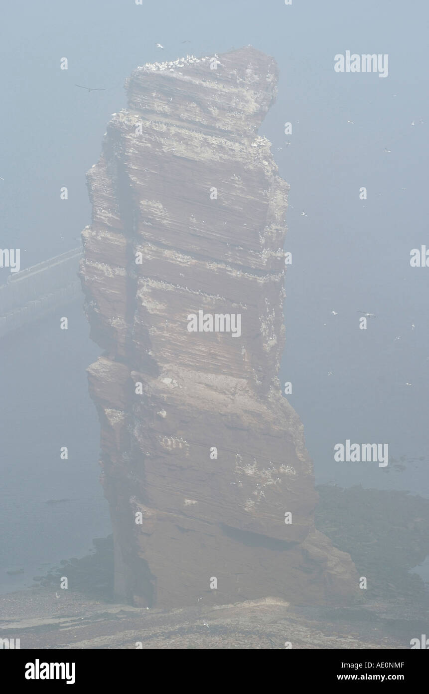 Helgoland, Deutschland, Nordsee "Lange Anna" extreme Rock Stockfoto