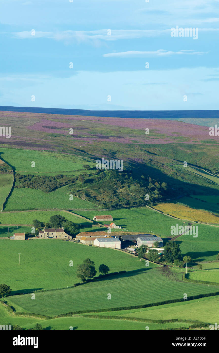 In der Nähe von Danby Esk Dale North Yorkshire England Stockfoto